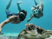 Casal de influenciadores nômades se 'aposenta' e fixa moradia no RS