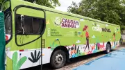 Castramóvel de Pernambuco chega a Petrolina para castração gratuita de cães e gatos