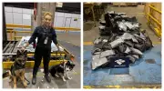 Cães farejadores apreendem 283,5 kg de haxixe no Aeroporto de Guarulhos