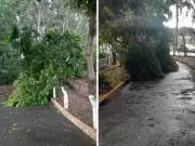 Chuvas intensas causam danos e fecham Parque Ecológico de Americana para manutenção