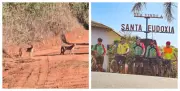 Ciclistas flagram filhotes de onça-parda em trilha rural em São Carlos