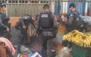 Cão farejador encontra drogas escondidas em barraca de frutas em Salvador