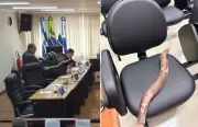 Discussão na Câmara de Cachoeiras de Macacu termina com mandioca no plenário e viraliza