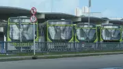 Eleições 2026: Ônibus gratuitos no Grande Recife para facilitar votação