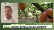 Especialista explica por que o chocolate segue caro mesmo com queda do cacau