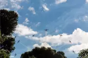 Esquadrilha da Fumaça realiza shows aéreos em Campos do Jordão e Caraguatatuba
