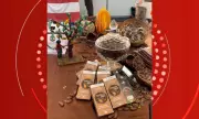 Estudantes baianos criam chocolate especial para diabéticos tipo 2 com ingredientes de baixo índice glicêmico