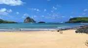 Estudo da UFRPE propõe reabertura segura da Baía do Sueste em Noronha