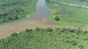 Estudo da Unemat e Colômbia revela 14 poluentes nos rios do Pantanal