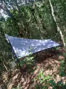 Estudo em São Carlos revela que diversidade ambiental atrai insetos essenciais aos parques urbanos