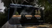 Estudos apontam medidas simples para preservar biomas brasileiros e reverter desmatamento