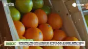 Expocitros 2026: Maior evento da citricultura projeta avanços do setor em Cordeirópolis