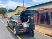 Falso veterinário é condenado a mais de 14 anos de prisão por maus-tratos a animais em Uberaba