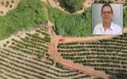 Farmacêutica encontrada morta em MG não sofreu violência, diz polícia