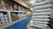 Fábrica de pães em Fortaleza reabre após sanar infestação de baratas e adequar condições sanitárias