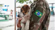 Feira de adoção pet em Boa Vista une solidariedade e responsabilidade social neste sábado