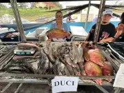Feira do Peixe em Rio Branco reúne mais de 30 produtores com expectativas otimistas para Semana Santa