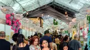 FestMalhas 2026: Evento Têxtil Deve Impulsionar Economia de Jacutinga e Região