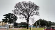 Frente fria chega a MS com chuva forte e derruba temperaturas após calor intenso