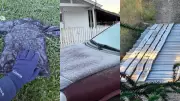 Frio extremo na Serra de SC: carros e roupas amanhecem congelados com -3,33°C