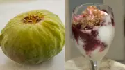 Gabiroba gigante: fruta rara da Mata Atlântica que só existe no ES vira sorvete premiado