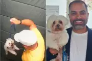 Guarda aposentado agride cachorro em elevador e animal é devolvido após recurso judicial