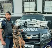 Guarda municipal preso em SP por ligação com facções e venda de armas