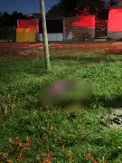 Homem de 41 anos é assassinado a tiros e corpo encontrado em matagal em Marliéria