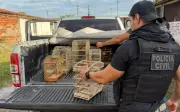 Homem detido suspeito de manter pássaros em maus-tratos em Santa Bárbara, BA