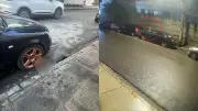 Homem espanca capivara até a morte em Boa Viagem, Recife; caso choca moradores