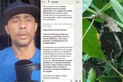 Homem fica um mês internado após picada de jararacuçu e erro no soro antiofídico em SP