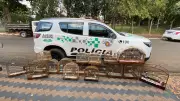 Homem multado em R$ 9 mil por manter 18 pássaros silvestres em cativeiro irregular