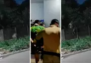 Homem é preso após matar pitbull a facadas durante invasão em Porto Nacional