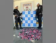Homem preso com mais de 17 mil pinos de cocaína após tentativa de fuga em Rio Bonito