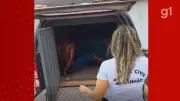 Homem é preso em Arari por filmar enteada adolescente em banheiro