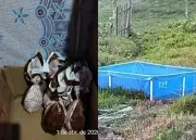 Homem é preso por suspeita de exploração sexual de adolescentes com ovos de Páscoa em SC