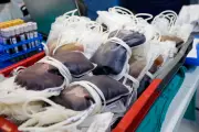 Hospitais Municipais do Rio Promovem Campanha de Doação de Sangue Nesta Semana