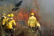 Ibama autoriza contratação de brigadas temporárias para combater incêndios florestais no Maranhão