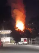 Incêndio em bambuzal atinge seminário em Juiz de Fora; veja detalhes
