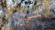 Incêndio na Floresta da Tijuca causado por balão durou mais de 30 horas