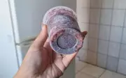 Irmã de jovem envenenado com açaí acusa cunhada, mas vítima defende inocência em Ribeirão Preto