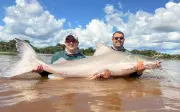 Irmãos pescam piraíba gigante de 2 metros no Rio Araguaia em Goiás