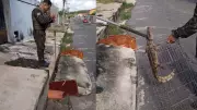 Jacaré é resgatado de esgoto em Teresina após moradores improvisarem isolamento