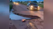 Jovem tapa buraco da BR-163 em Santarém e vídeo viraliza como protesto criativo