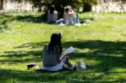 Leitura transforma o cérebro: benefícios e impactos das telas