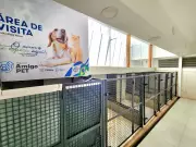 Limeira inaugura clínica veterinária pública para cães e gatos com atendimento gratuito