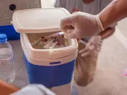 Mais de 700 cães e gatos vacinados contra raiva em ação especial em Rio Branco