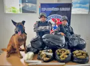 Mais de 80 kg de skunk apreendidos em embarcação no Marajó