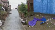 Menino de 8 anos morre após atropelamento por caminhonete desgovernada em Escada, PE