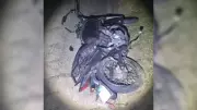 Motociclista morre após queda e atropelamento em rodovia de Porto Feliz; motorista foge
